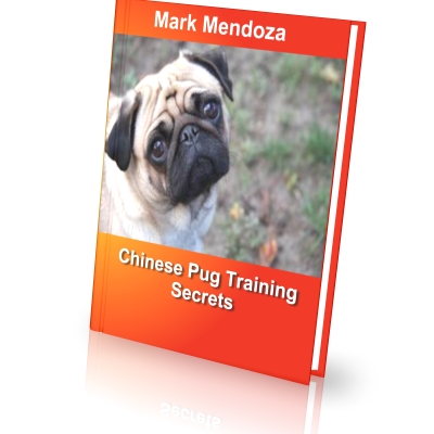 how much would a pug cost how much do pugs cost how much would a pug cost how much do pugs cost